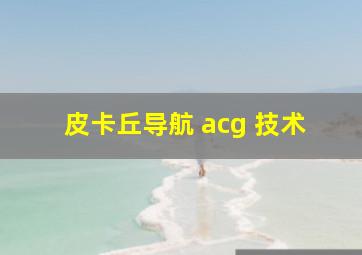 皮卡丘导航 acg 技术